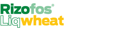 Rizofos Wheat