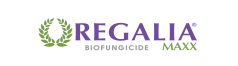 regalia