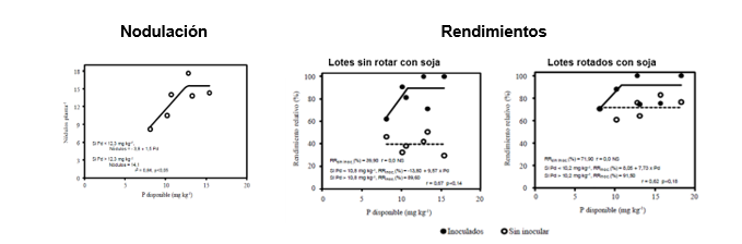 Nodulación y rendimientos de soja