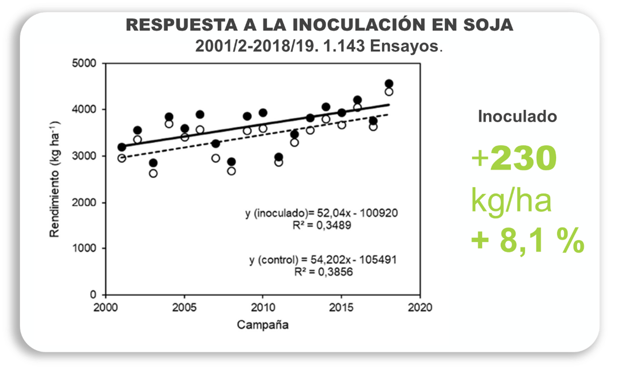 Respuesta a la inoculación en soja