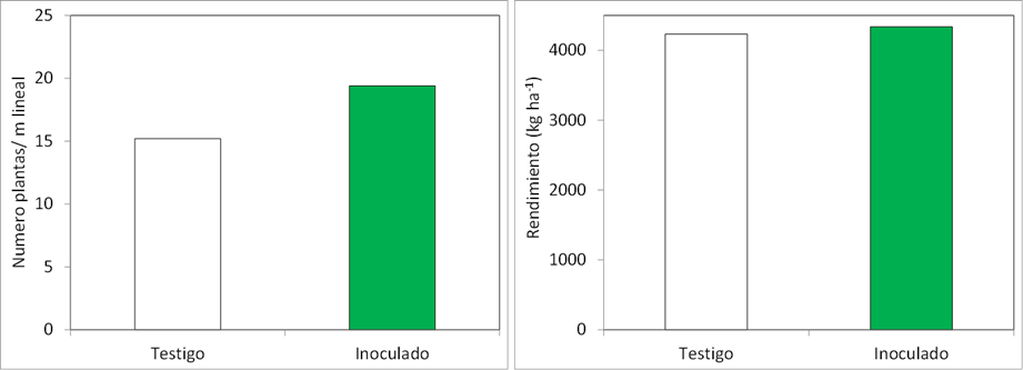 Inoculación