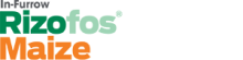 Rizofos Maize in furrow