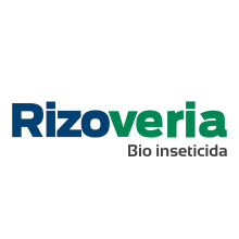 Rizoveria